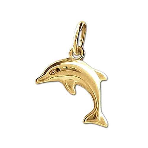 Pendentif Dauphin naturelor