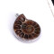 Pendentif Escargot gris - miniature variant 6